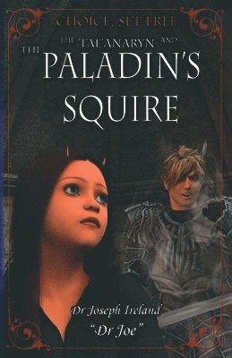 Joe Ireland - Tae'anaryn and The Paladin's Squire, Häftad