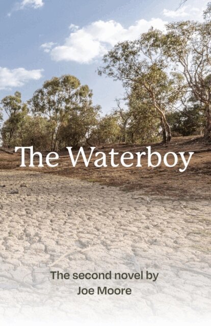 Joe Moore - Waterboy, E-bok