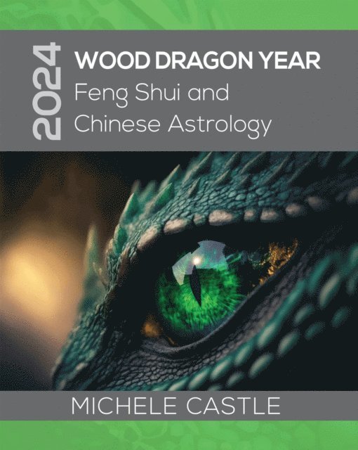 Michele Castle - 2024 Wood Dragon Year, E-bok