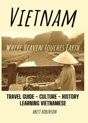 Brett Robinson - Vietnam, Häftad