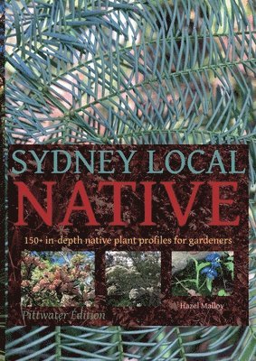Sydney Local Native