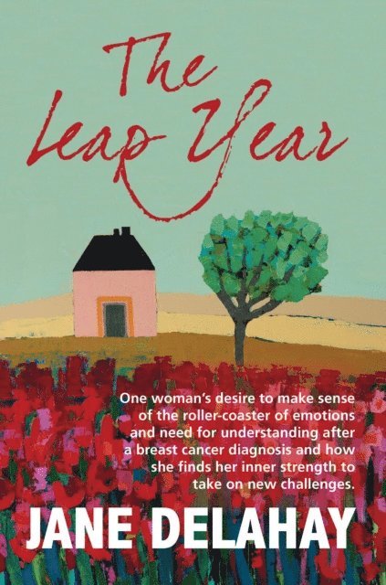 Jane Delahay - Leap Year, E-bok