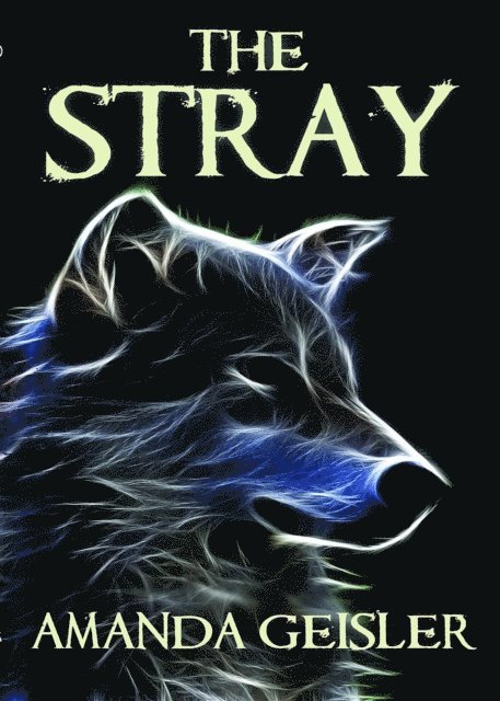 Amanda Geisler - Stray, E-bok