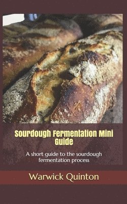 Sourdough Fermentation Mini Guide