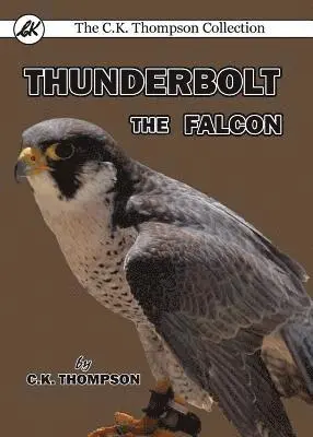 C K Thompson - Thunderbolt the Falcon, Häftad. Tillgänglighet: Lägg i varukorg