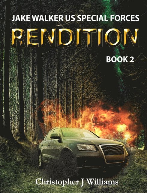 Christopher J Williams - Rendition, E-bok