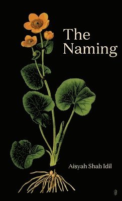 Aisyah Shah IDIL - Naming, Häftad