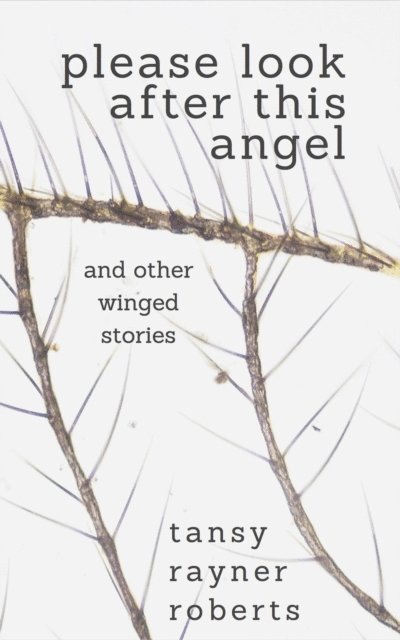 Tansy Rayner Roberts - Please Look After This Angel, E-bok