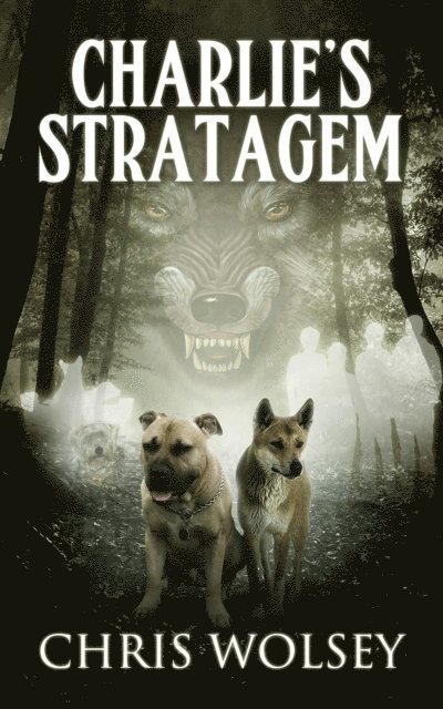 Chris Wolsey - Charlie's Stratagem, E-bok