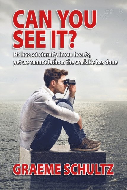 Graeme Schultz - Can you see it?, E-bok