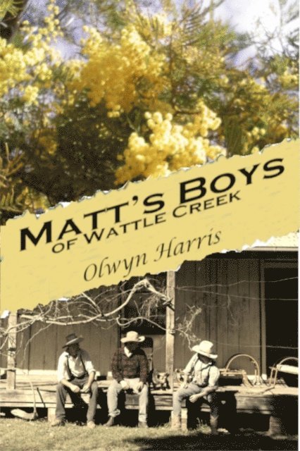 Olwyn Harris, Wendy Wood - Matt's Boys of Wattle Creek, E-bok