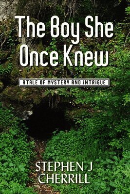 Stephen J Cherrill - Boy She Once Knew, Häftad. Tillgänglighet: Lägg i varukorg