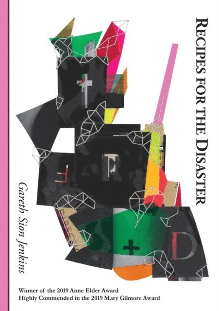 Gareth Sion Jenkins - Recipes for the Disaster, E-bok