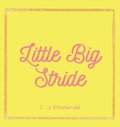 Little Big Stride