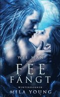 Wie Man Eine Fee Fngt