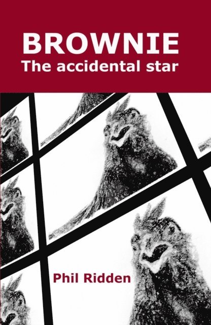 Phil Ridden - BROWNIE The accidental star, E-bok