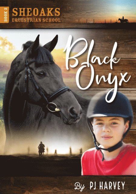 P. J. Harvey - Black Onyx, E-bok