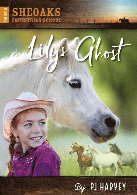 P. J. Harvey - Lily's Ghost, E-bok