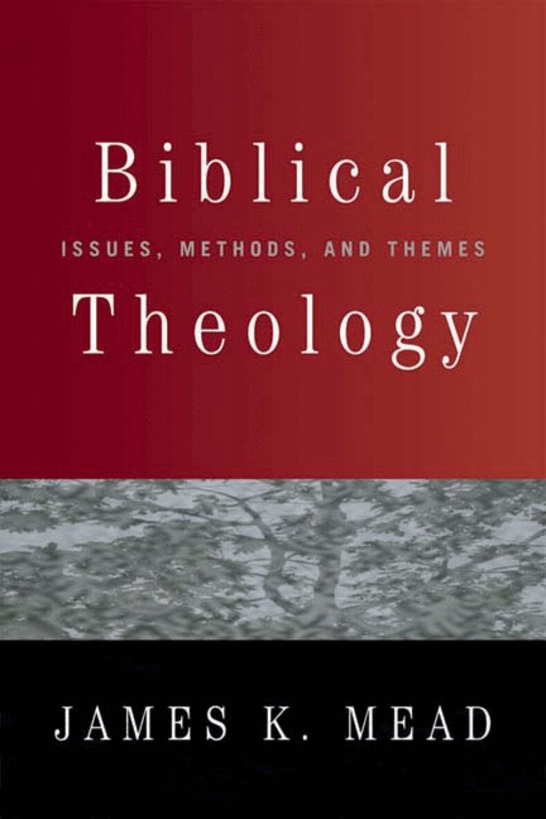 James K. Mead - Biblical Theology, Häftad