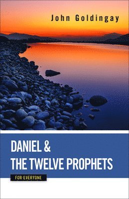 John Goldingay - Daniel and the Twelve Prophets for Everyone, Häftad