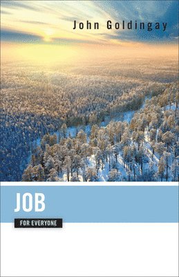 John Goldingay - Job for Everyone, Häftad