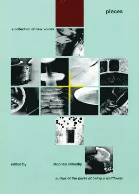 Stephen Chbosky - Pieces, Häftad
