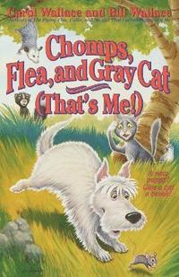 Chomps, Flea, and Gray Cat (That's Me!)