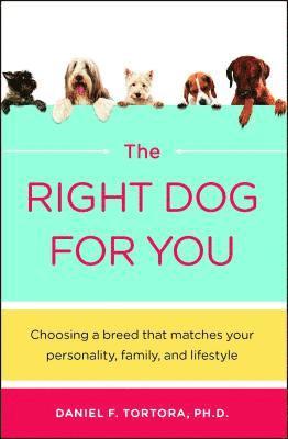 Daniel Tortora - Right Dog for You, Häftad. Tillgänglighet: Lägg i varukorg
