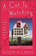 A Cat is Watching