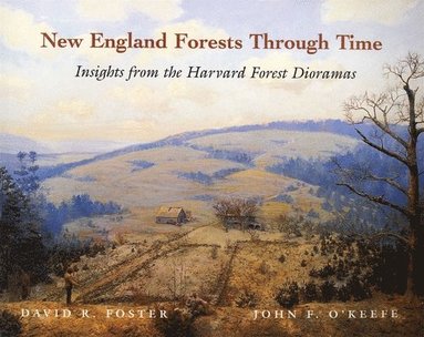 New England Forests Through Time av David R Foster, John F O'Keefe, John F O'Keefe, David R Foster, John F O'Keefe