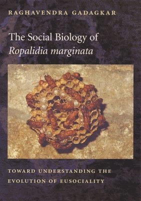 Raghavendra Gadagkar - Social Biology of Ropalidia marginata, Inbunden. Tillgänglighet: Lägg i varukorg