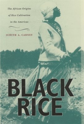 Black Rice