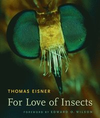 For Love of Insects