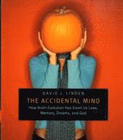 The Accidental Mind