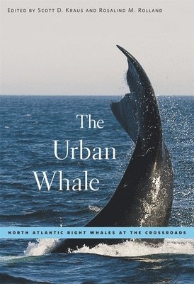 Urban Whale