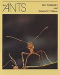 Ants