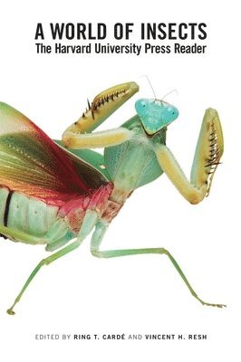 World of Insects av Ring T Cardé, Vincent H Resh, Ring T Cardé, Vincent H Resh