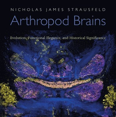 Nicholas James Strausfeld - Arthropod Brains, Inbunden