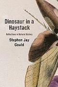 Dinosaur in a Haystack