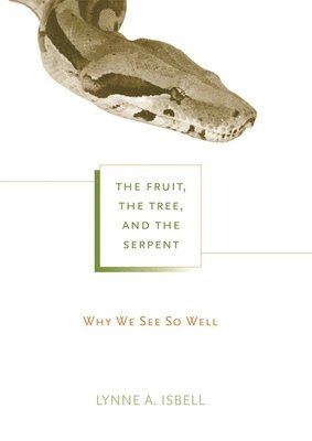 Lynne A. Isbell - Fruit, the Tree, and the Serpent, Häftad. Tillgänglighet: Lägg i varukorg