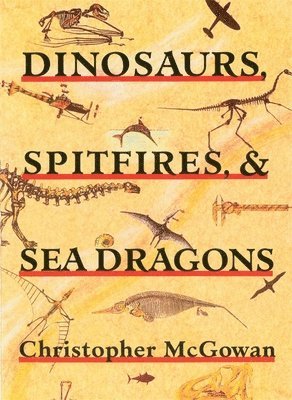 Dinosaurs, Spitfires, and Sea Dragons