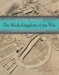 Black Kingdom of the Nile