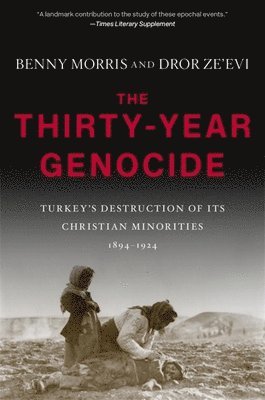 Thirty-Year Genocide av Benny Morris, Dror Ze'evi