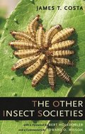 Other Insect Societies