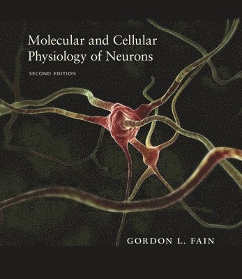 Gordon L. Fain - Molecular and Cellular Physiology of Neurons, Inbunden. Tillgänglighet: Lägg i varukorg