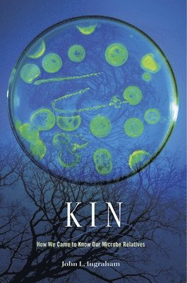 John L. Ingraham - Kin, Inbunden