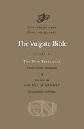 The Vulgate Bible: Volume VI The New Testament: Douay-Rheims Translation