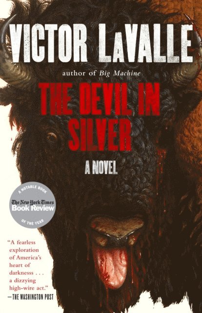 Victor LaValle - Devil in Silver, E-bok
