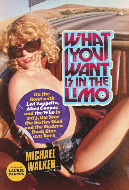Michael Walker - What You Want Is in the Limo, E-bok