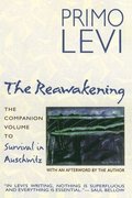 Reawakening